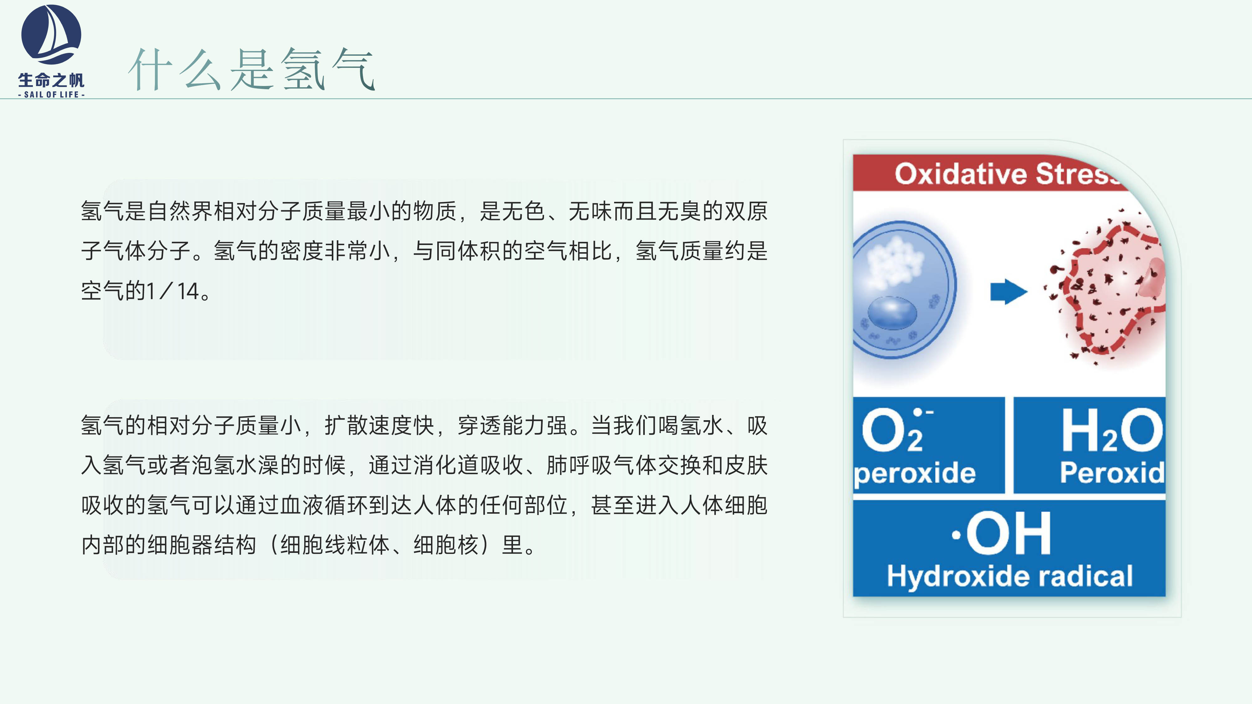 生命之帆氢氧一体机-3.jpg