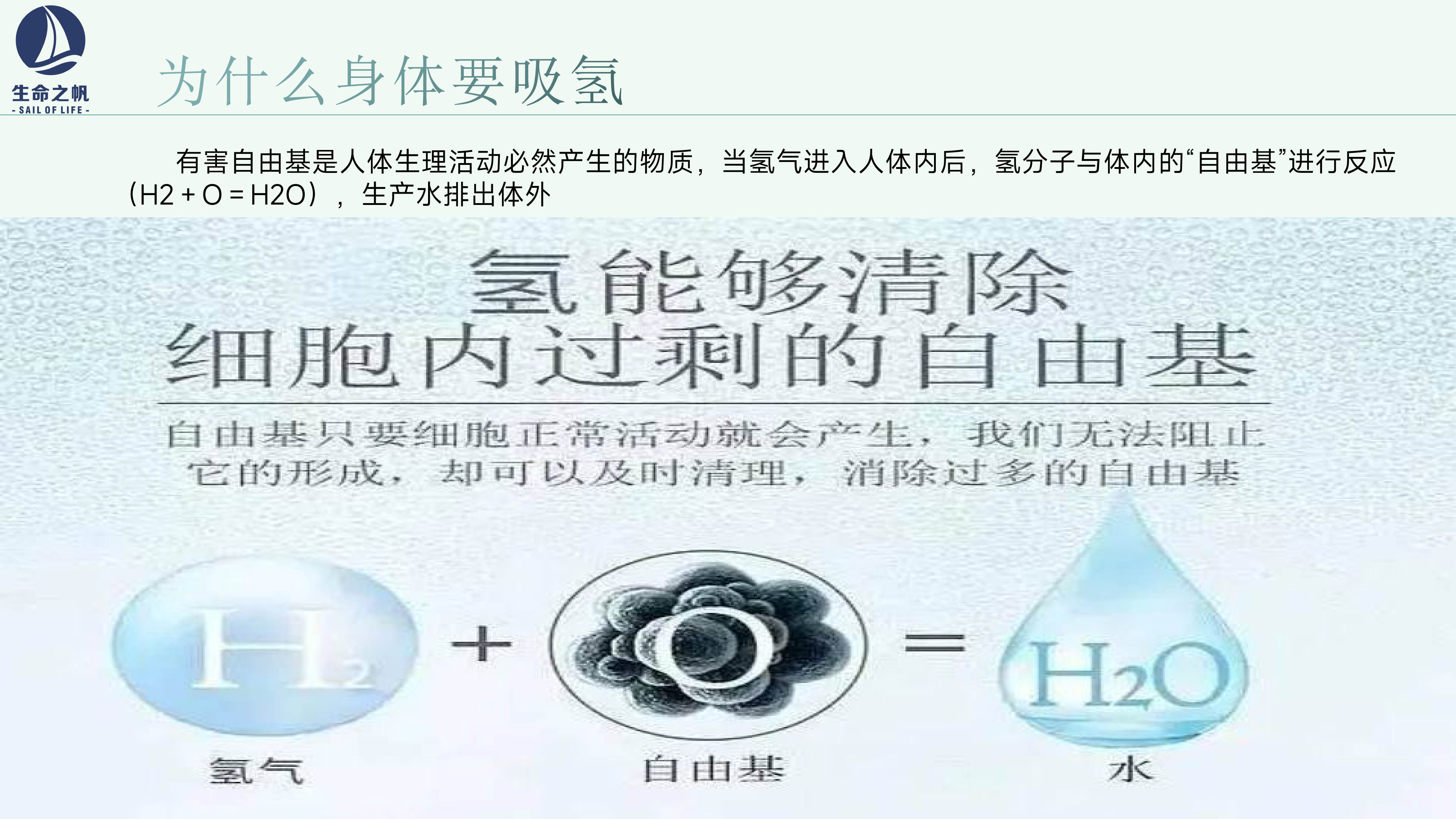 生命之帆氢氧一体机-4.jpg